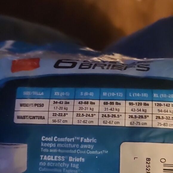 Hanes Taglesd Briefs - Picture 5 of 6